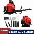 thumbnail image 1 of Floseru 63CC Gas Leaf Blower Backpack 665 CFM 205 MPH 2 Cycle Ergonomic Harness System Low Vibration and Cruise Control Powerful Gas Blowers for Lawn Yard Care Gifts for Dad, 1 of 8
