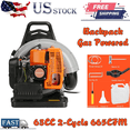 thumbnail image 1 of Floseru 665 CFM Backpack Gas Leaf Blower 63CC 2-Stroke Ergonomic Harness System 205 MPH Low Vibration Cruise Control Powerful Gas Blowers for Lawn Yard Care Gifts for Dad, 1 of 9