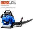 thumbnail image 1 of Floseru 75.6CC Gas Backpack Leaf Blower, 4 Cycle 900 CFM 210 MPH Gas Powered Engine, Low Vibration and Ergonomic Design with Cruise Control for Outdoor GardenYard Cleaning and Snow Removal, 1 of 9