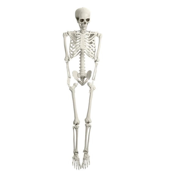 Floseru Halloween Skeleton Life Size, Movable Joints Prop with Old Bone Finish, for Day of Dead Decor Haunted House, 65 Inch, 15 x 7 x 65 Inch
