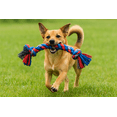 thumbnail image 1 of Mammoth Cloth Rope Bone Dog Toy, Medium 12” – Dental Floss, Chew & Play Toy for All Dogs, Assorted Colors, 1 of 5