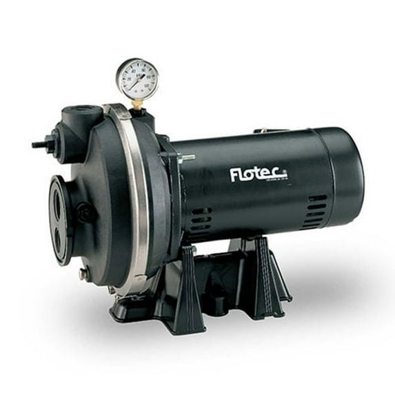 Flotec Thermoplastic Convertible Jet Pump 1 HP, FP4332-08