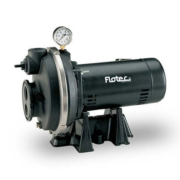 Flotec Thermoplastic Convertible Jet Pump 1 HP, FP4332-08