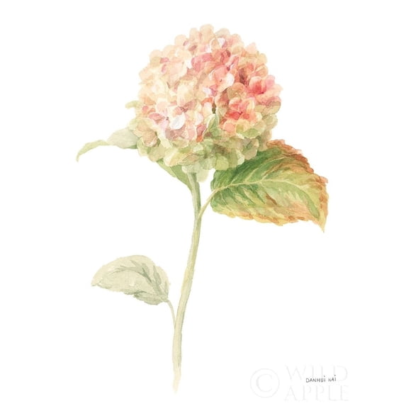 Floursack Florals on White V Poster Print by Danhui Nai