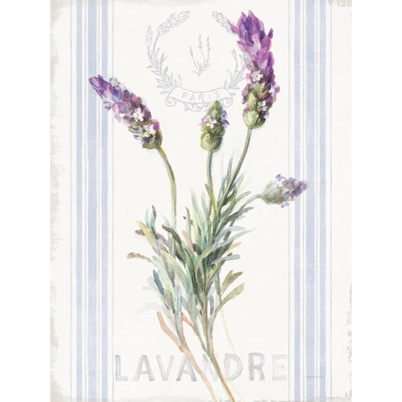 Art.com Floursack Lavender II Art Print by Danhui Nai, 12" x 16"
