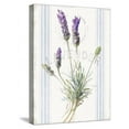 thumbnail image 1 of Floursack Lavender III, Botanical World Culture Stretched Canvas Wall Art by Danhui Nai Sold by Art.Com, 1 of 5