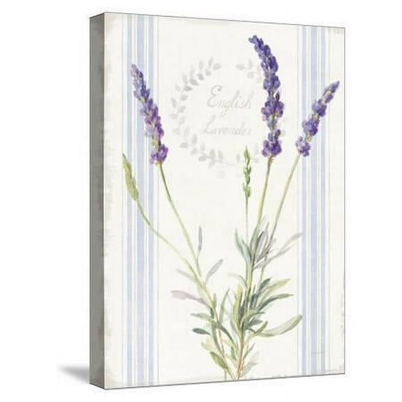 Floursack Lavender IV, Botanical World Culture Stretched Canvas Wall Art by Danhui Nai Sold by Art.Com