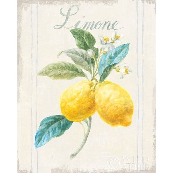 Floursack Lemon III v2 Poster Print by Danhui Nai