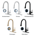 thumbnail image 1 of Flow Classic Kitchen Faucet, 1 of 1