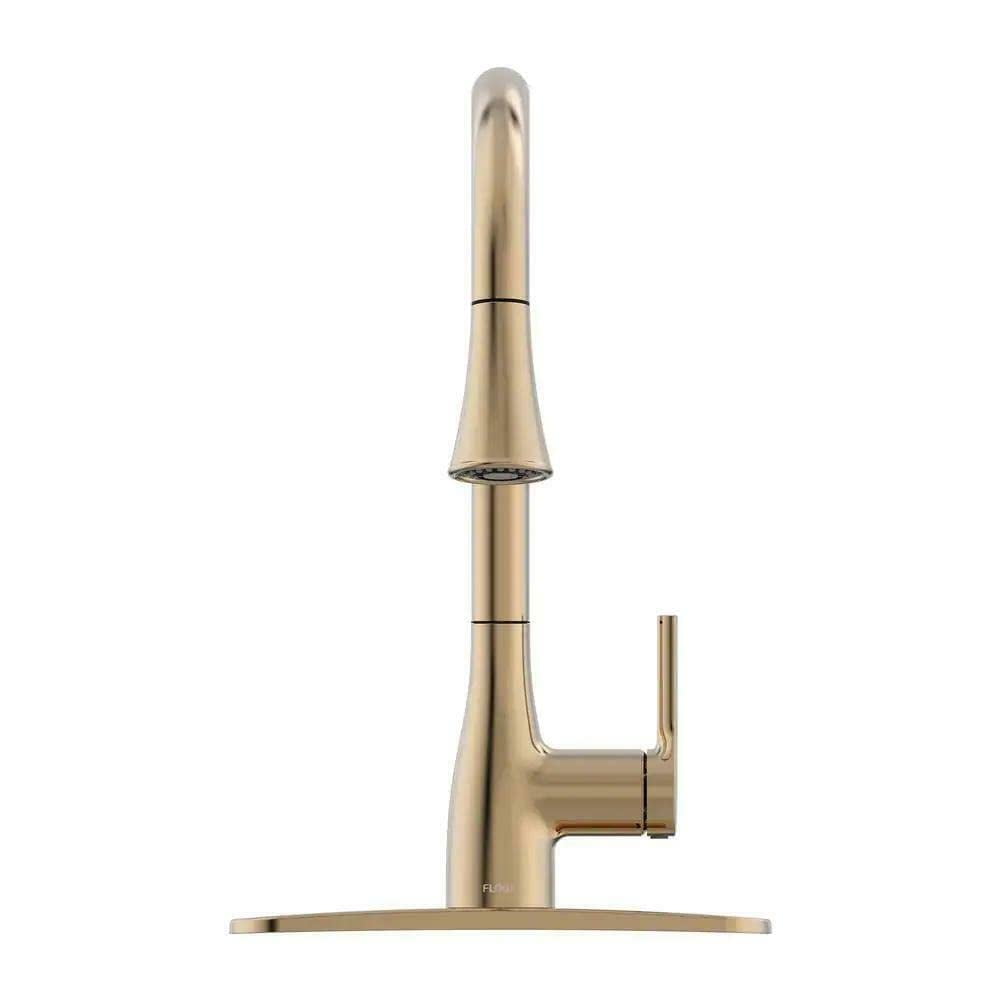 FLOW Classic Kitchen Faucet, Single-Handle Pull-Down Sprayer, Champagne ...