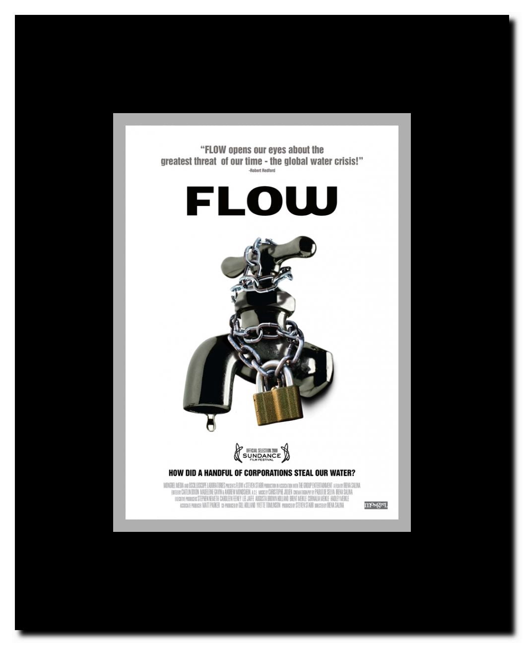 Flow: For Love of Water Framed Movie Poster