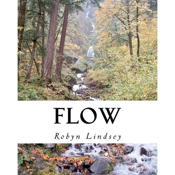 Flow (Paperback)