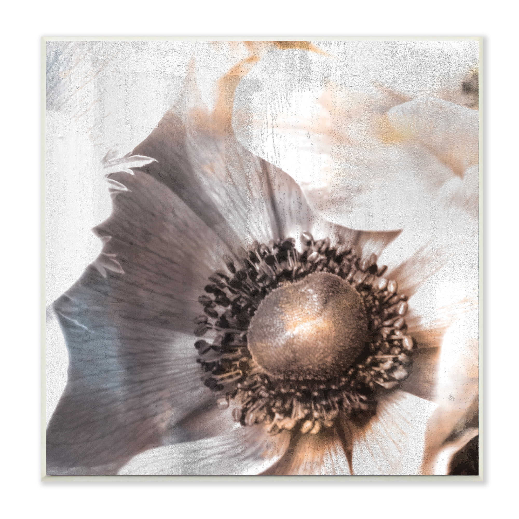 Flower 12 in x 12 in Framed Painting Art Prints, by Stupell Home Décor