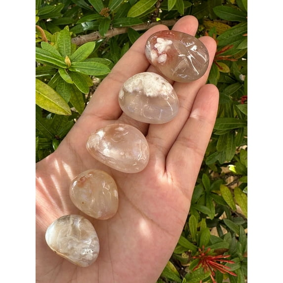 Flower Agate Tumbled Stones, 0.75"-1.25" Tumbled Cherry Blossom Agate