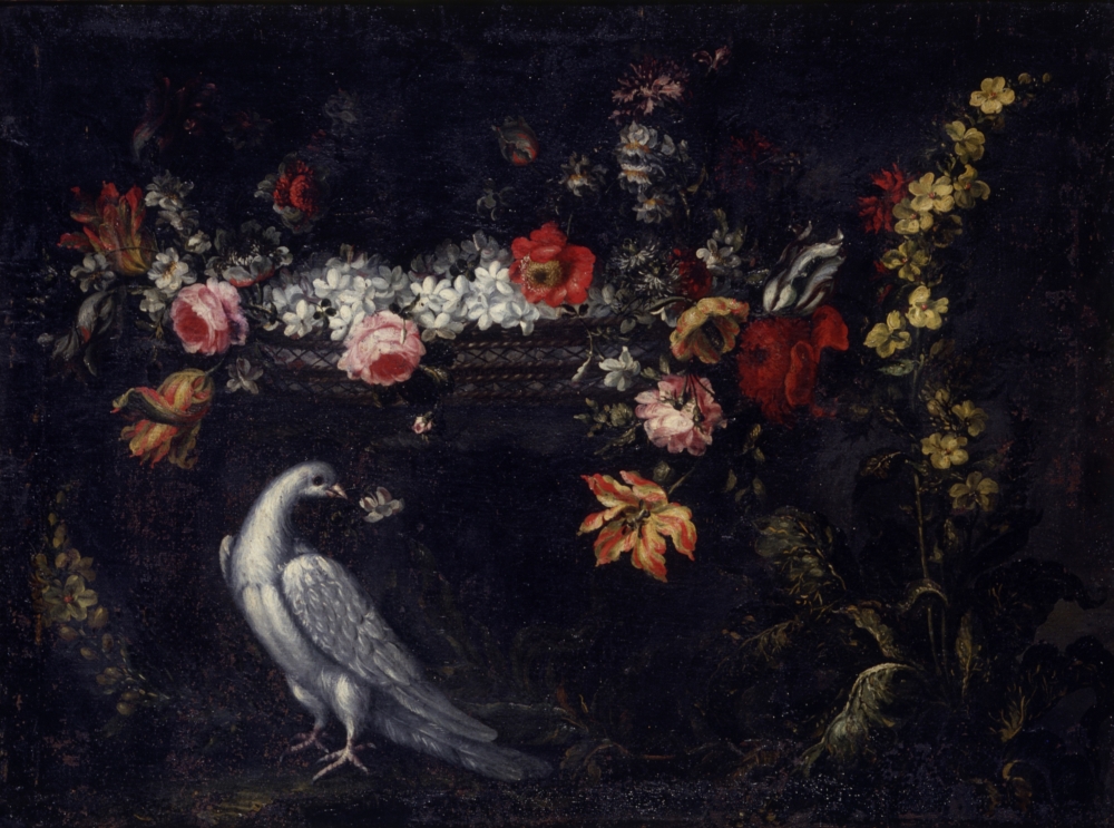 Flower And Pigeon (Fiore Con Piccione) Canvas Art - (24 x 18)