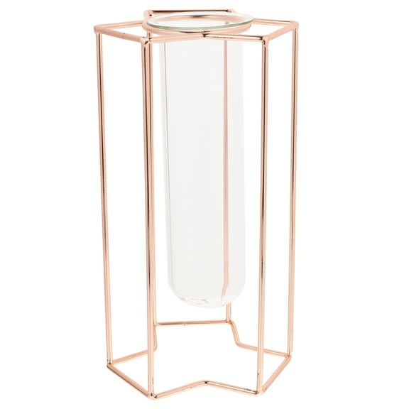 BRIGHTFUFU Tall Vase Transparent Glass 1Pack 8.3x4.5x4.5in