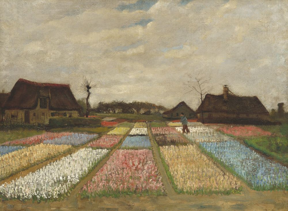 Flower Beds In Holland Canvas Art - (24 x 18)