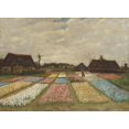 thumbnail image 1 of Flower Beds In Holland Poster Print (36 x 24), 1 of 1