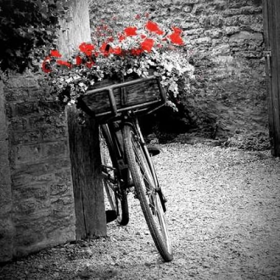 Flower Bike Square Poster Print by Gail Peck (12 x 12)