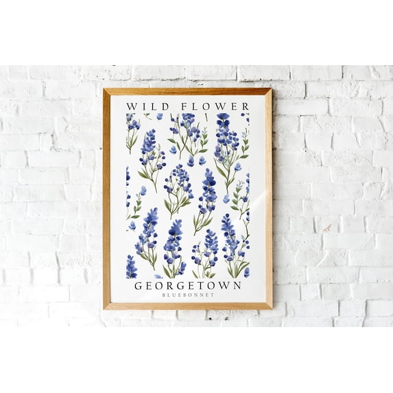Botinical Ard Flower Bluebonnet The Wild Of Georgetown D Cor Botanical Art Poster ...