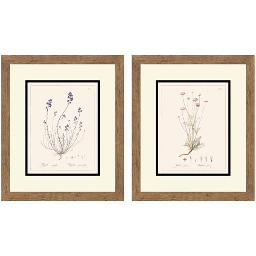 Flower Botanical Wall Art, Set of 2