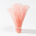 thumbnail image 1 of Flower Bouquet Packaging Kit Pearl-Edged Mesh & Wrapping Paper Tear-Resistant for Valentine’s Day Weddings Party Bouquet Decor Supplies,Pink, 1 of 9