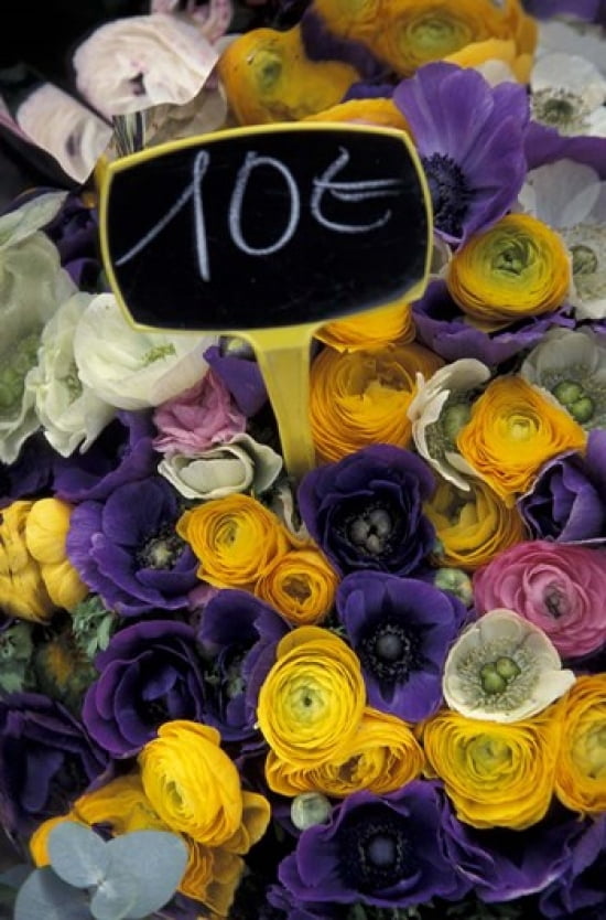 Flower Bunches Aix En Provence France Canvas Art - Dave Bartruff DanitaDelimont (18 x 27)