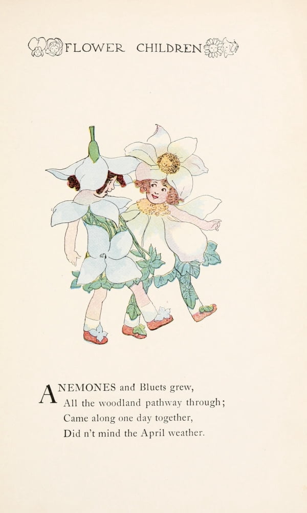 Flower Children 1910 Anemones Canvas Art - MT Ross (24 x 36)