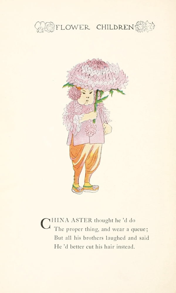 Flower Children 1910 China Aster Canvas Art - MT Ross (24 x 36)