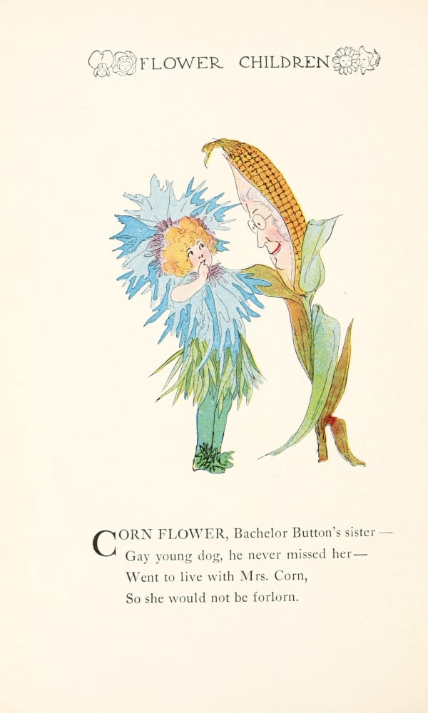 Flower Children 1910 Corn Flower Canvas Art - MT Ross (24 x 36)