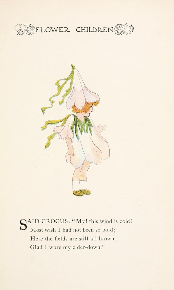 Flower Children 1910 Crocus Canvas Art - MT Ross (18 x 24)