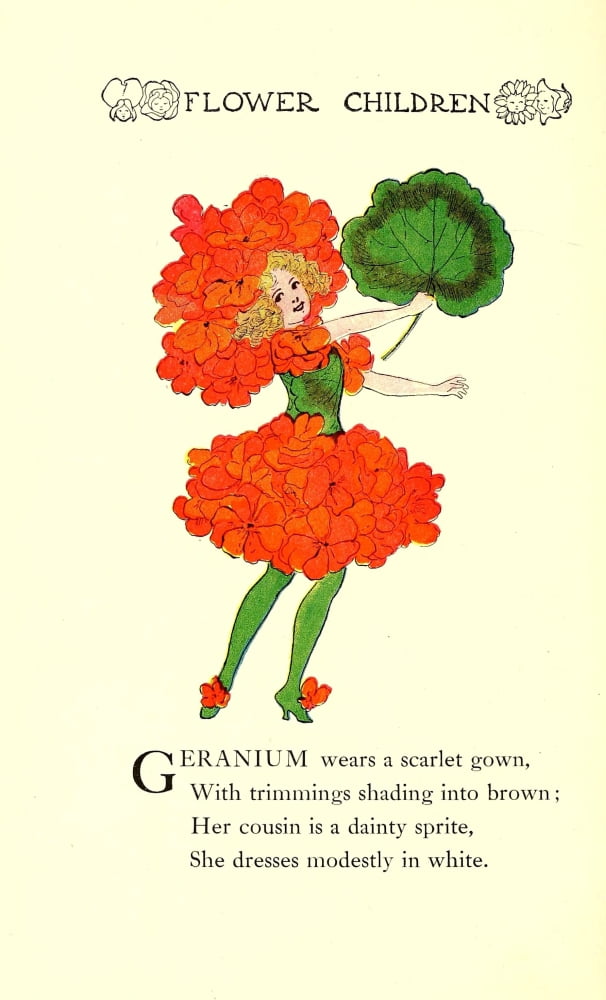 Flower Children 1910 Geranium Canvas Art - MT Ross (18 x 24)