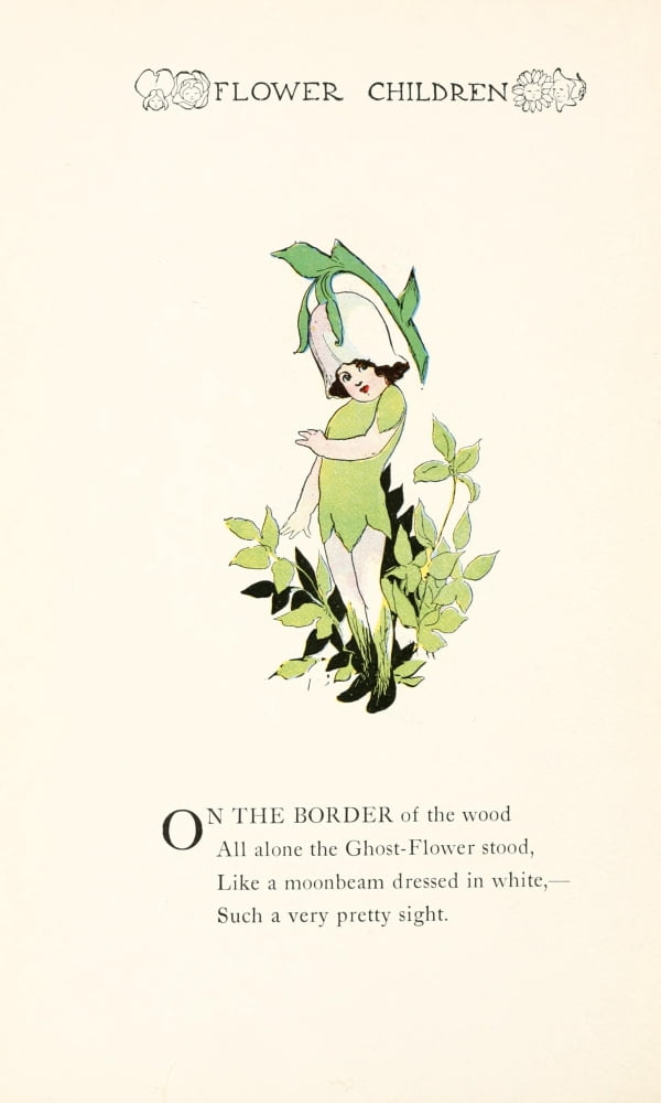 Flower Children 1910 Ghost Flower Canvas Art - MT Ross (18 x 24)