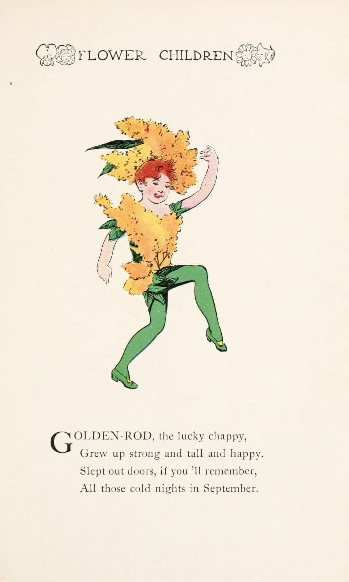 Flower Children 1910 Golden Rod Canvas Art - MT Ross (24 x 36)