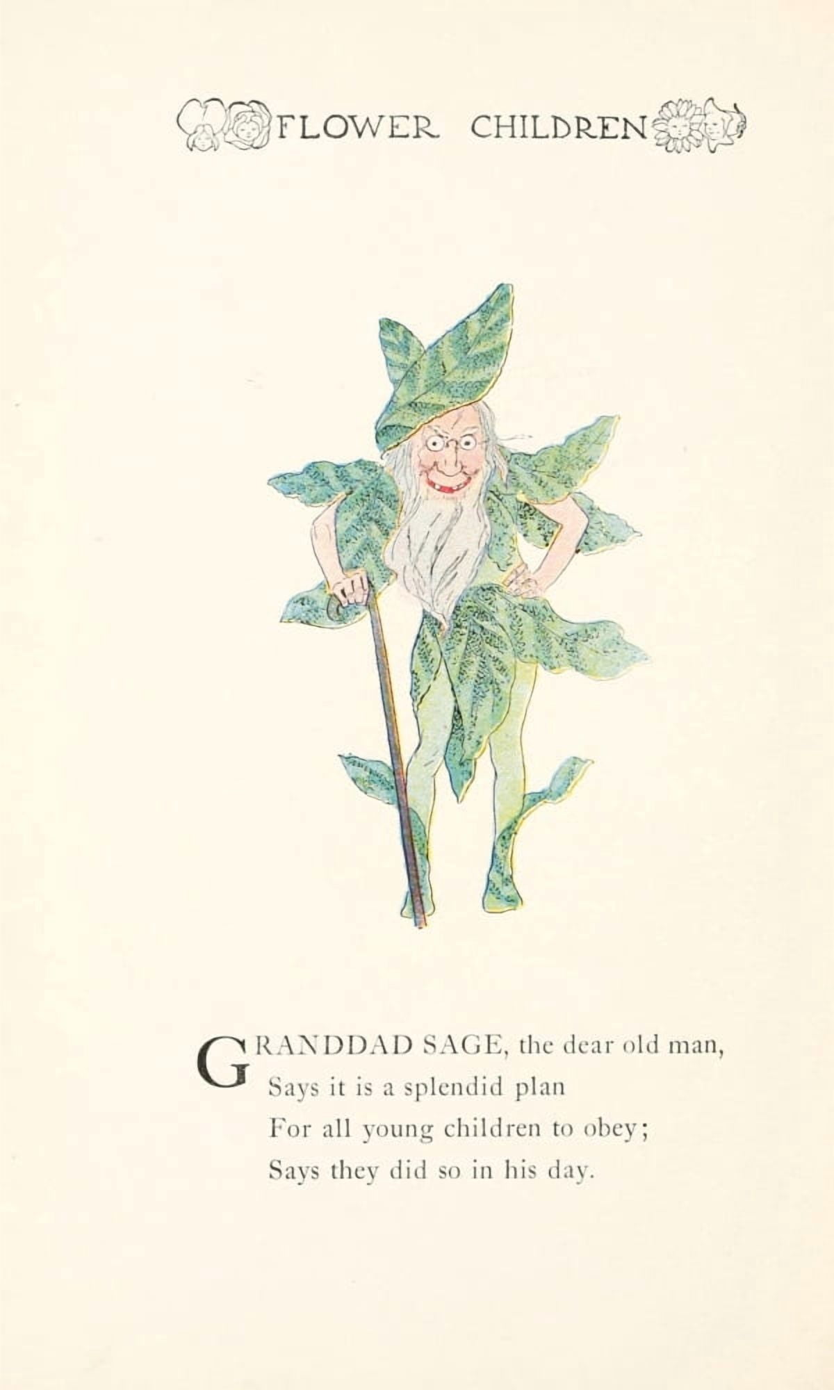 Flower Children 1910 Granddad Sage Canvas Art - MT Ross (24 x 36)