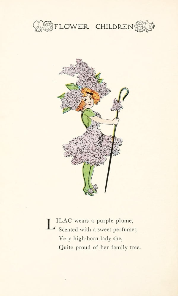 Flower Children 1910 Lilac Canvas Art - MT Ross (18 x 24)