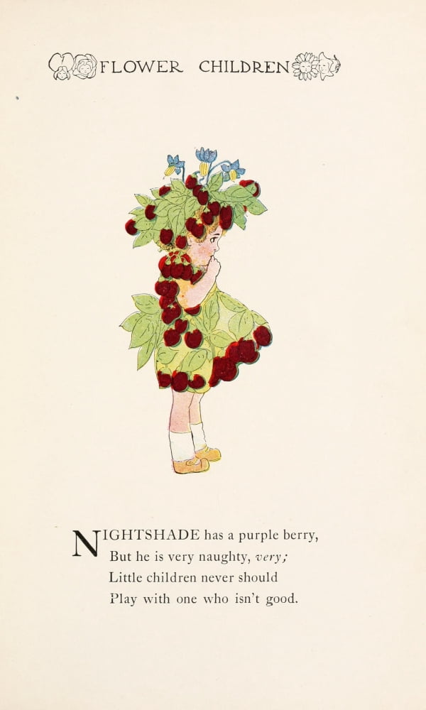 Flower Children 1910 Nightshade Canvas Art - MT Ross (18 x 24)