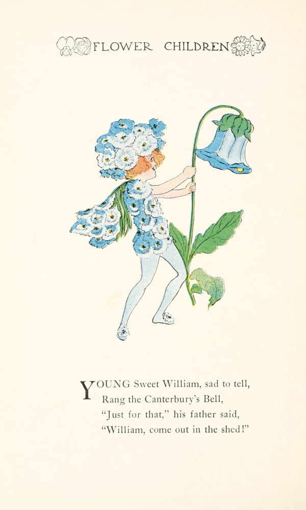Flower Children 1910 Sweet William Canvas Art - MT Ross (18 x 24)