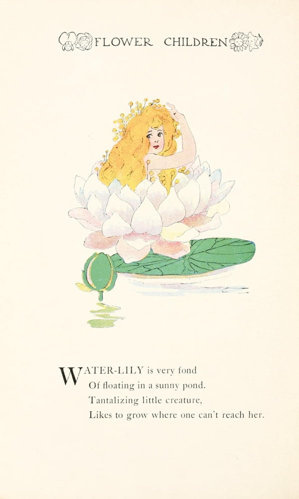 Flower Children 1910 Water-lily Canvas Art - MT Ross (24 x 36)