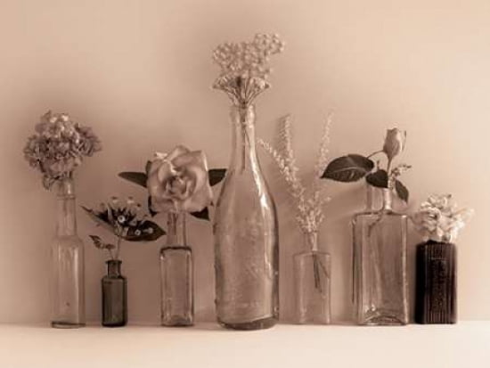 Flower Collection Canvas Art - Ian Winstanley (18 x 24)