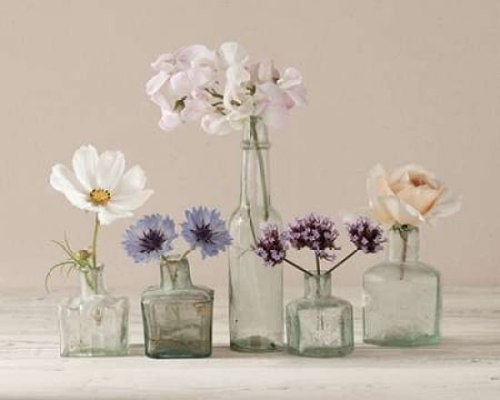 Flower Collection II Canvas Art - Ian Winstanley (24 x 30)