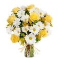 thumbnail image 1 of Flower Country - Daisy Days Large: Yellow, White, & Multicolor Fresh Cut Flowers with Vase, Decorative, 1 of 3
