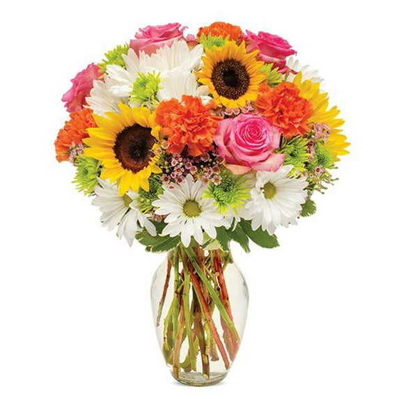 Flower Country - Just to Make You Smile Large: Orange, Pink, & Multicolor Fresh Cut Flowers with Vase, Decorative
