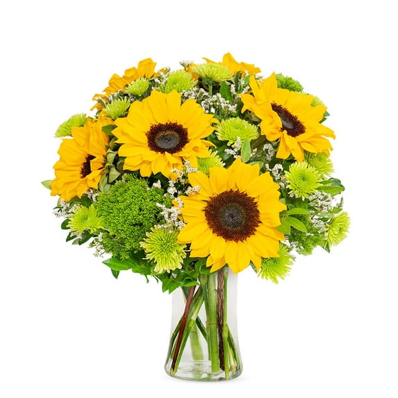 Flower Country - Sun's Out Medium: Yellow & Green Fresh Cut Flowers with Vase, Decorative