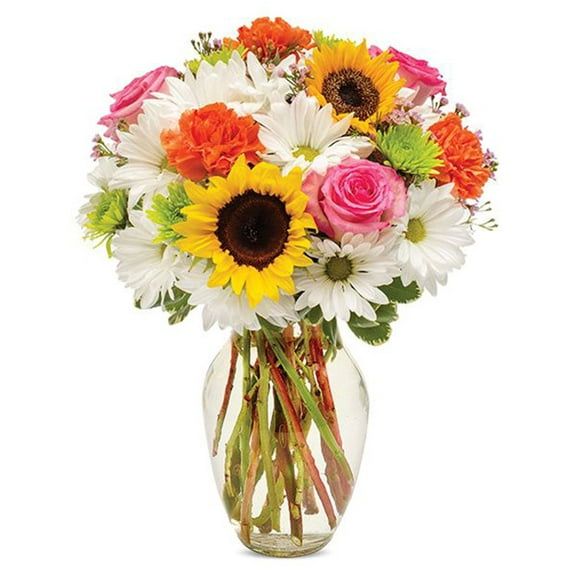 Flower Country - Just to Make You Smile Small: Orange, Pink, & Multicolor Fresh Cut Flowers with Vase, Decorative