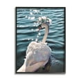thumbnail image 1 of Flower Crown Swan Lake Ripples Animals & Insects Graphic Art Black Framed Art Print Wall Art, 1 of 7