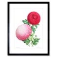 thumbnail image 1 of Flower Dahlia Pink Petals Artwork Framed Wall Art Print 9X7 Inch, 1 of 5