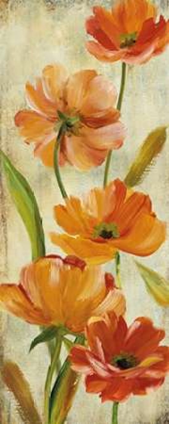 Flower Dance II Canvas Art - Carol Robinson (10 x 20)