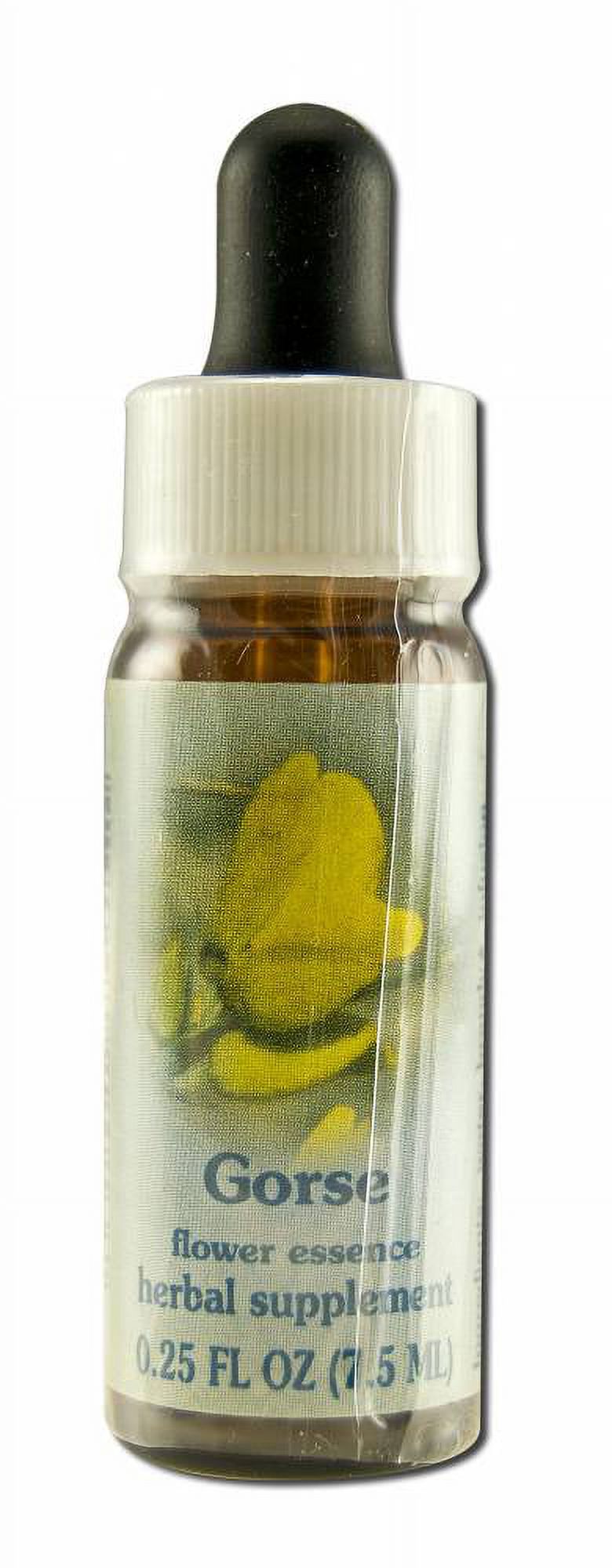 Flower Essence Services Healing Herbs, Gorse