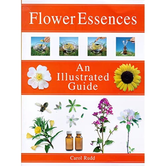 Pre-Owned Flower Essences: An Illustrated Guide (Paperback) 1862041679 9781862041677